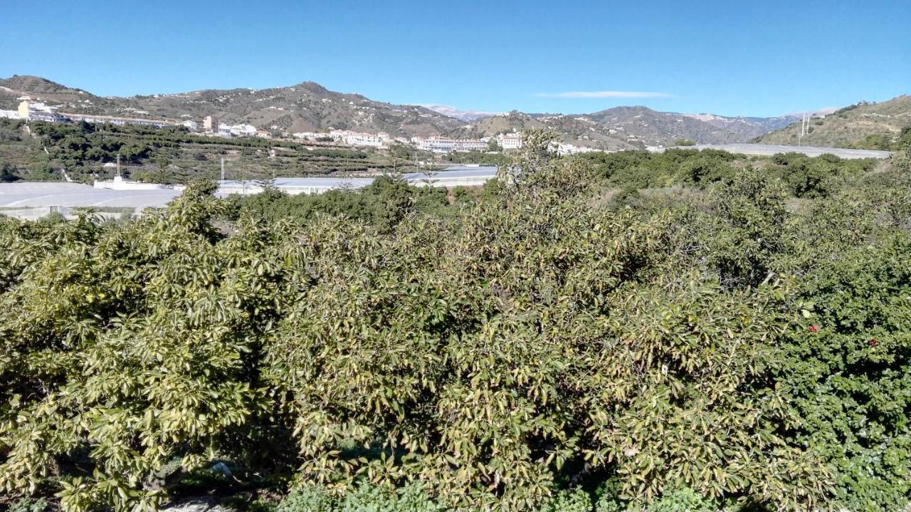 Casa de Férias Casa Paloma Blanca Málaga